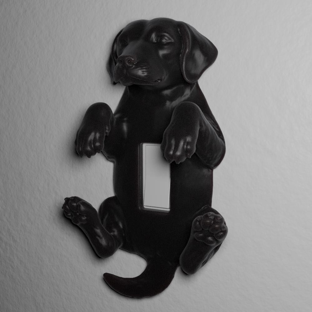 Good Boy switch cover, alternate view