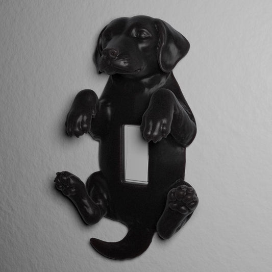 Good Boy switch cover, alternate view